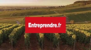 2020 article vignes GFV groupement viticole en Champagne